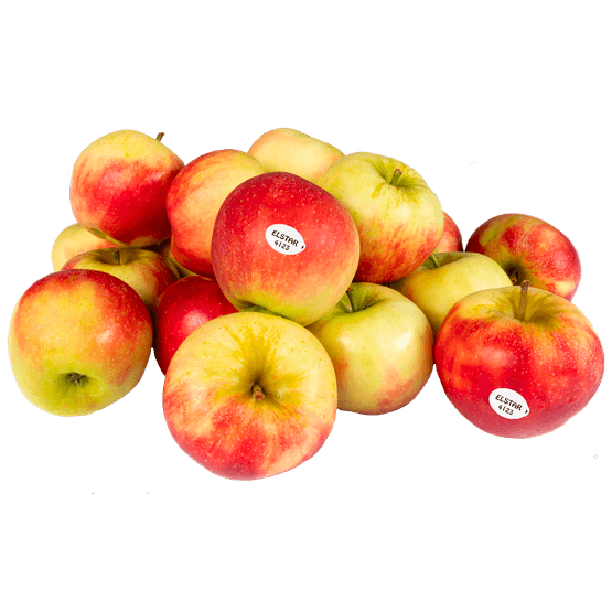 1 de Beste Elstar - Dirk