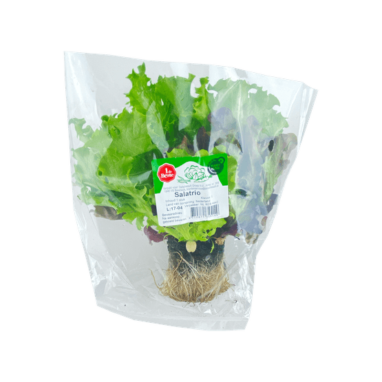 1 de Beste Salatrio - Dirk