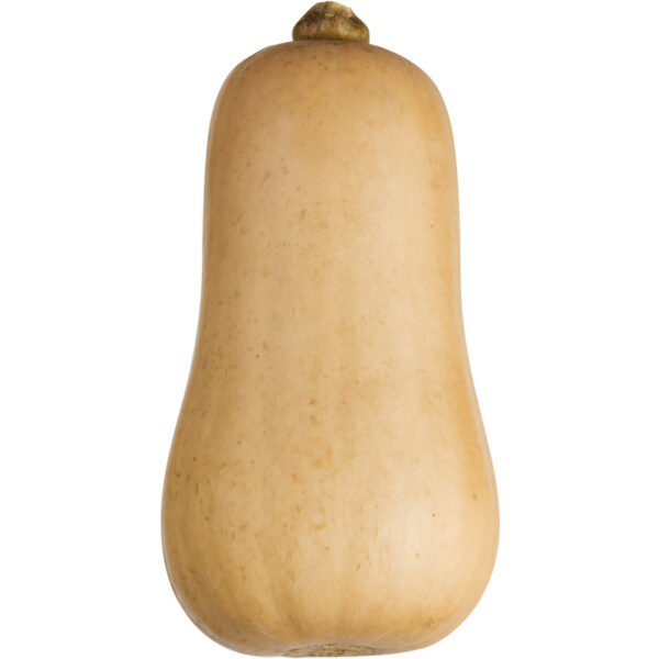 AH Biologisch Flespompoen - Albert Heijn