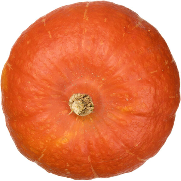 AH Biologisch Pompoen - Albert Heijn