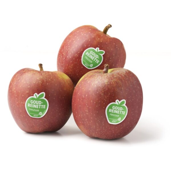 AH Goudreinette - Albert Heijn