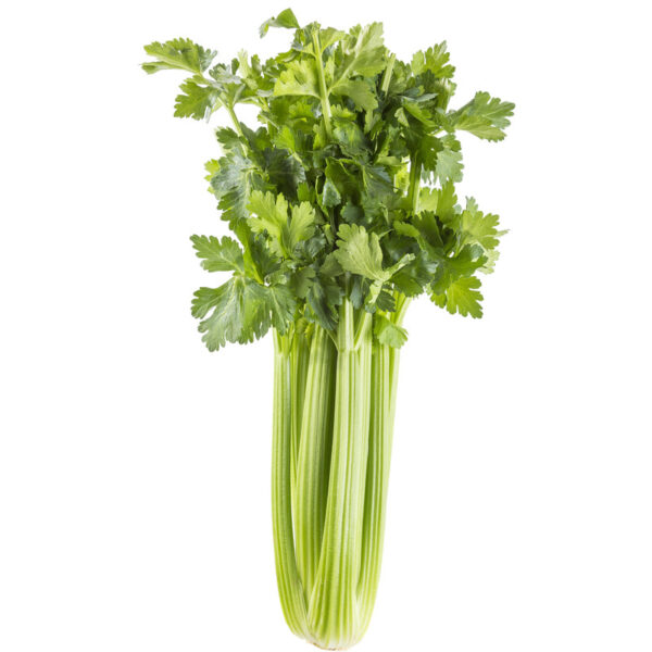 AH Groene Selder Bel - Albert Heijn