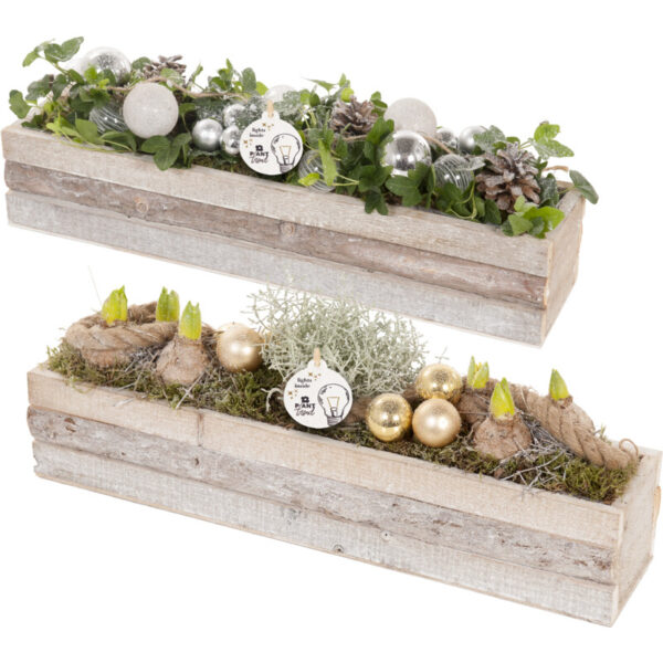 AH Kerstarrangement Mand Rechthoek - Albert Heijn