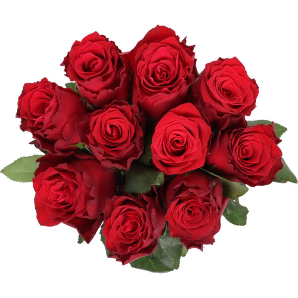 AH Luxe Rozen Warm - Albert Heijn