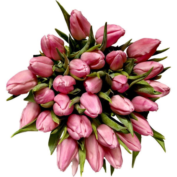 AH Megabos Tulpen - Albert Heijn