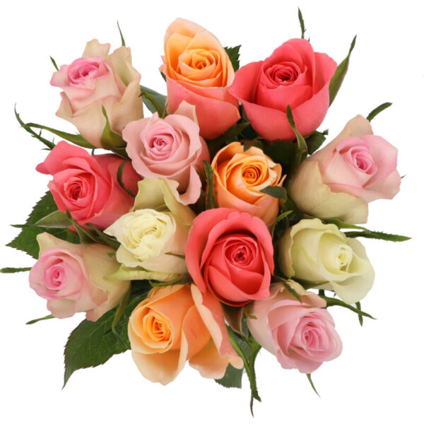 AH Rozenmix - Albert Heijn