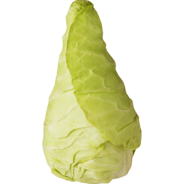 AH Spitskool - Albert Heijn