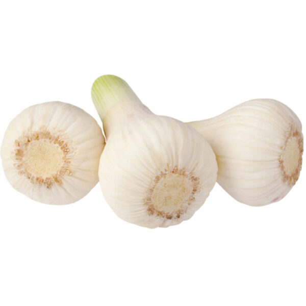 AH Verse Knoflook - Albert Heijn