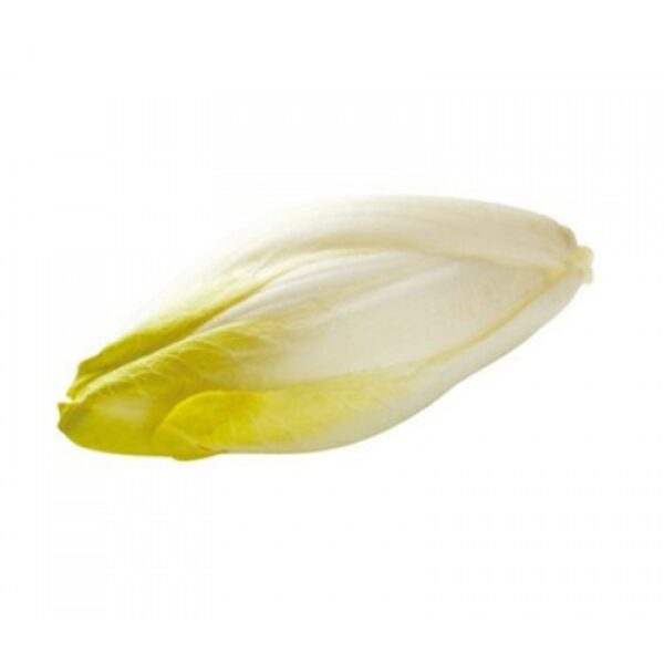 AH Witlof Los - Albert Heijn