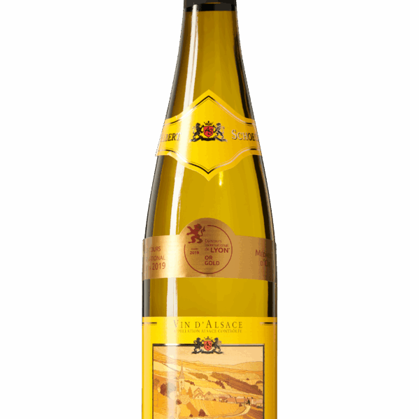 Albert Schoech Pinot Blanc - PLUS