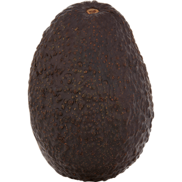 Avocado - JUMBO