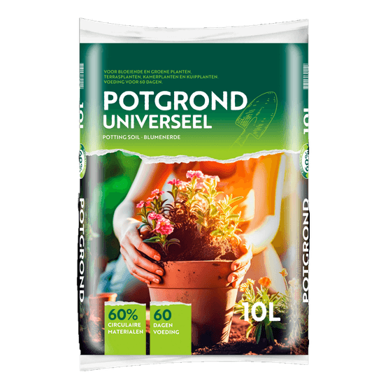 Bas Van Buuren Potgrond - Dirk