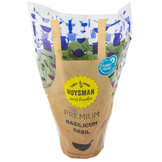 Basilicum grote pot - Dirk