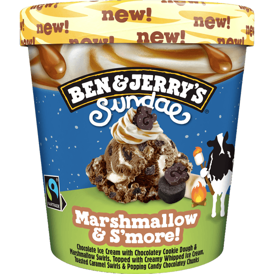 Ben & Jerry's Sundae marshmallow & s more - Dirk