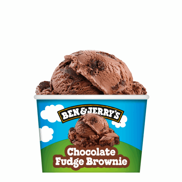 Ben&Jerry's Chocolate Fudge Brownie - PLUS
