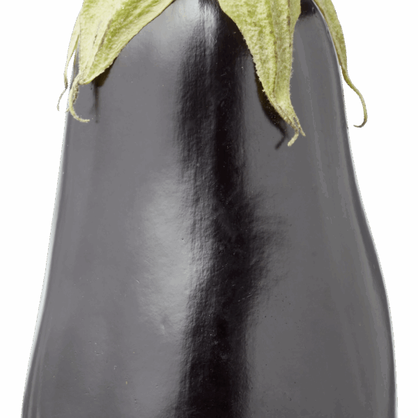 Biologisch PLUS Aubergine - PLUS