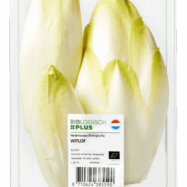 Biologisch PLUS Witlof - PLUS