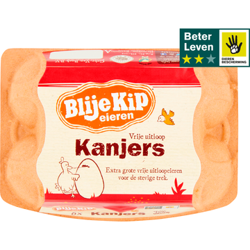 Blije Kip Eieren Vrije Uitloop Kanjers 6 Stuks - JUMBO