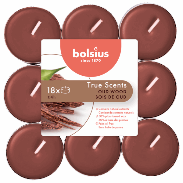 Bolsius Geurtheelicht True Scents Old Wood - PLUS
