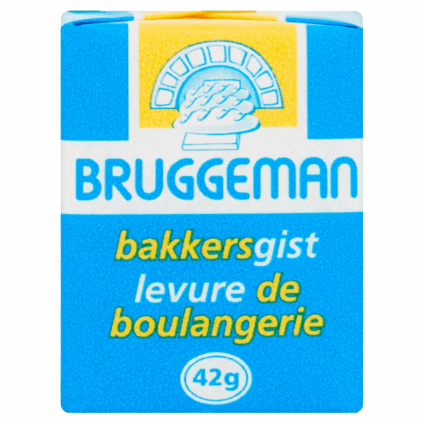 Bruggeman Verse Bakkersgist Mini - PLUS