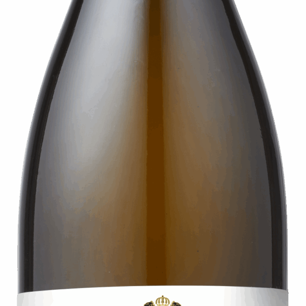 Casata Monticello Roero Arneis DOCG - PLUS