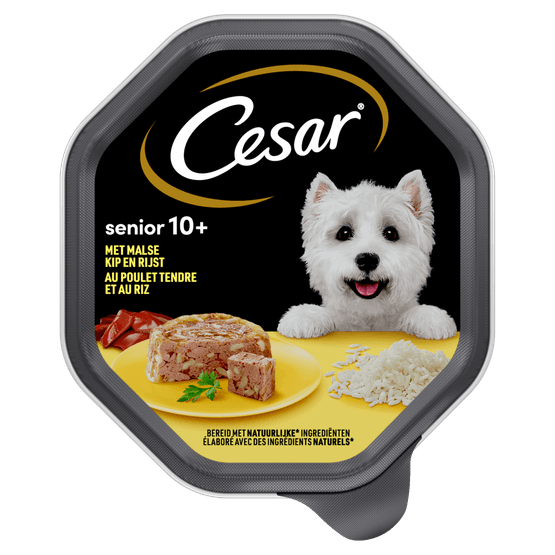 Cesar Hondenvoer senior kip-rijst gelei 10+ jaar - Dirk