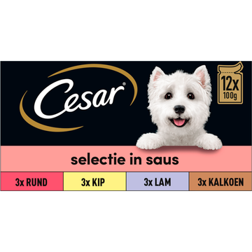 Cesar Selectie in Saus - JUMBO