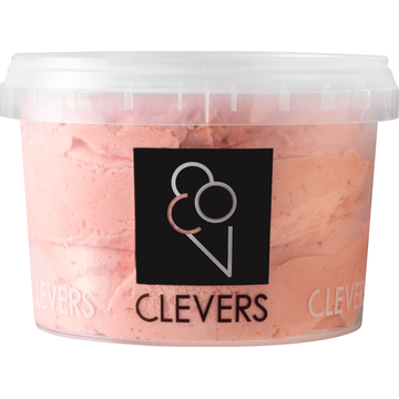 Clevers IJs Rood Fruit - JUMBO