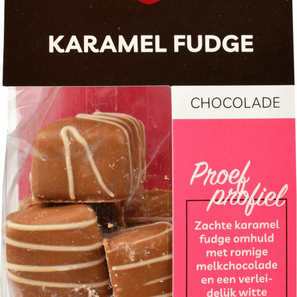 Elvee Fudge gechocolateerd - PLUS