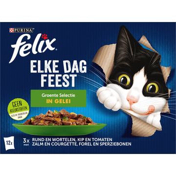 FELIX® Elke Dag Feest Groente Selectie in Gelei Kattenvoer - JUMBO