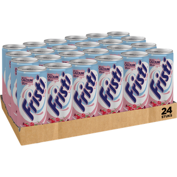 Fristi Rood Fruit Blik 24 x 250 ml - JUMBO