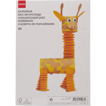 HEMA A5 Knutselblok 200 Vellen - JUMBO