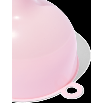 HEMA Trechters Roze 2 stuks - JUMBO