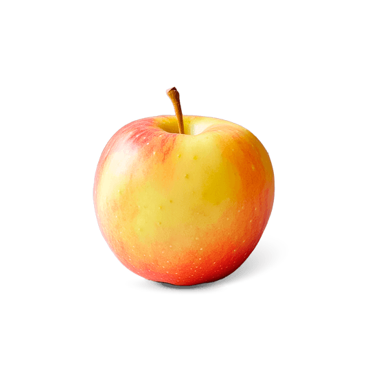 Hollandse Elstar - Dirk