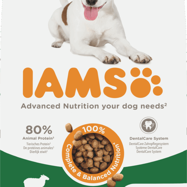 IAMS Brokken hond adult 1+ lam - PLUS