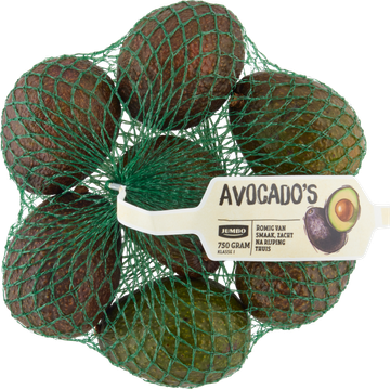 Jumbo Avocado's - JUMBO