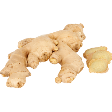 Jumbo Biologische Verse Gember - JUMBO