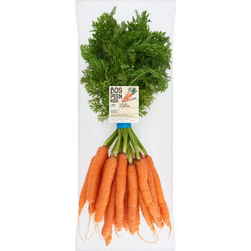 Jumbo Bospeen 2-3 Personen - JUMBO