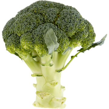Jumbo Broccoli 2 Personen - JUMBO