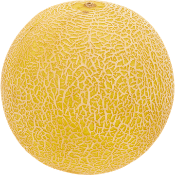 Jumbo Galia Meloen - JUMBO