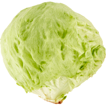 Jumbo IJsbergsla 1 Stuk - JUMBO