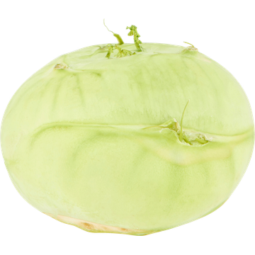 Jumbo Koolrabi - JUMBO