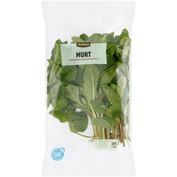 Jumbo Munt - JUMBO