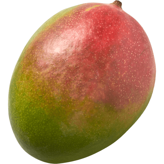 Mango - Dirk