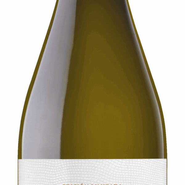 Marqués de Cáceres Antea Barrel Ferment - PLUS