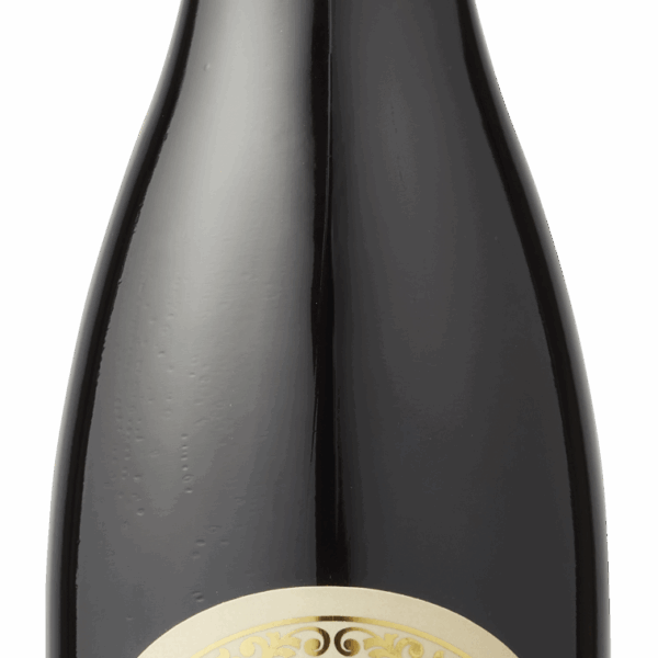 Monte Tessa Appassimento IGP Puglia - PLUS