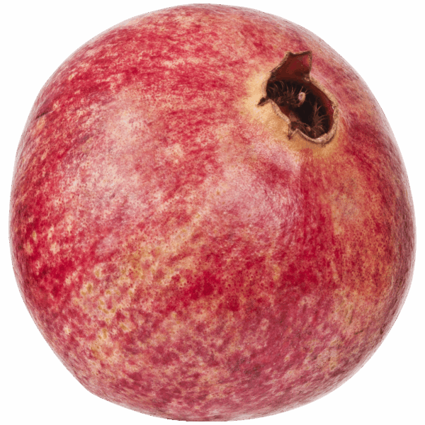 Neutraal Granaatappel - PLUS