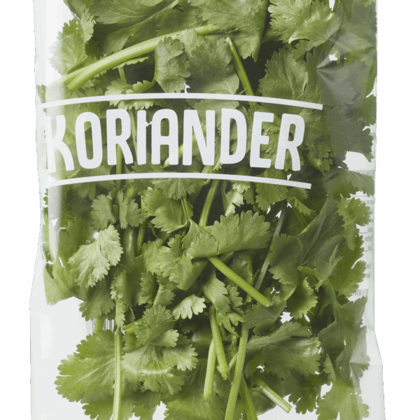 Neutraal Koriander zakje - PLUS
