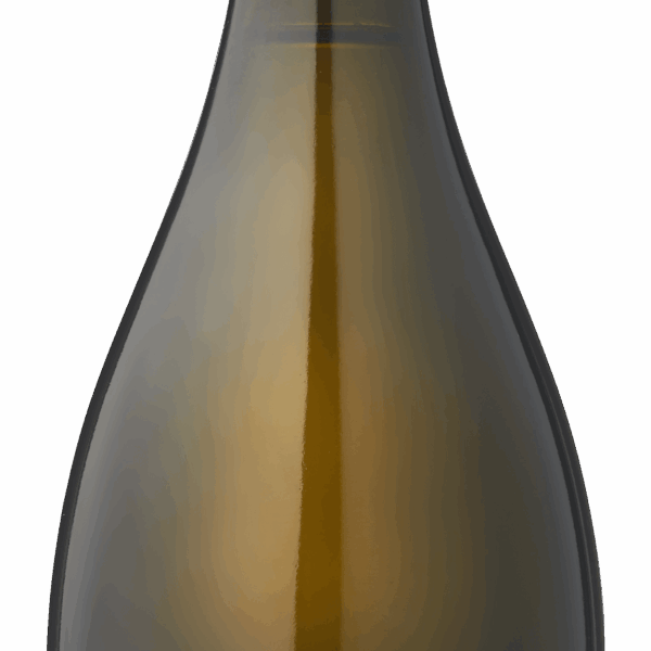 Nozeco Alcoholvrije bubbel - PLUS