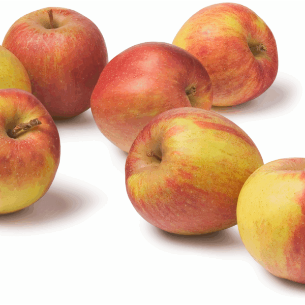 PLUS Appels Goudreinet - PLUS